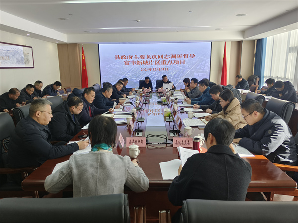 12月31日，縣政府主要負(fù)責(zé)同志調(diào)研督導(dǎo)富豐新城片區(qū)重點項目.jpg
