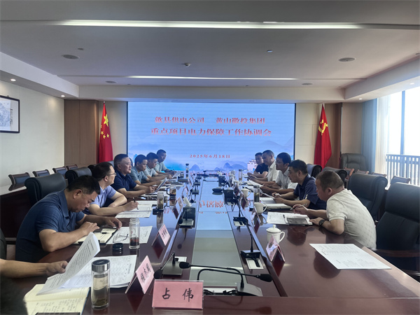 6月18日，歙縣供電公司總經(jīng)理張杰帶隊(duì)赴集團(tuán)就重點(diǎn)項(xiàng)目電力保障工作進(jìn)行座談交流，洪董、潘總、余總、張總，市政、逸寧等單位參加座談。.jpg